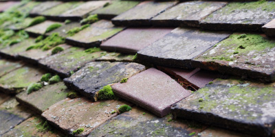 Churchtown roof repair costs